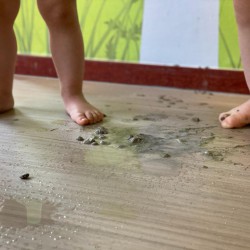 IMG-20210225-WA0008 (002) IMG-20210225-WA0008 (002)